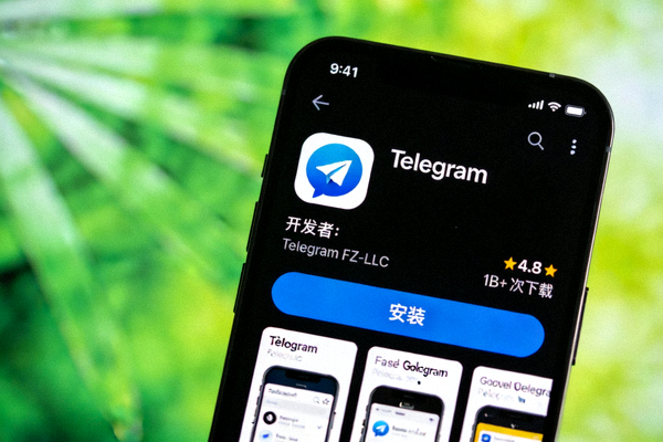 Google Play商店中Telegram官方应用的详情页面截图，显示开发者信息和下载按钮